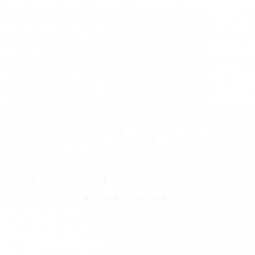 logo box transparent weiß